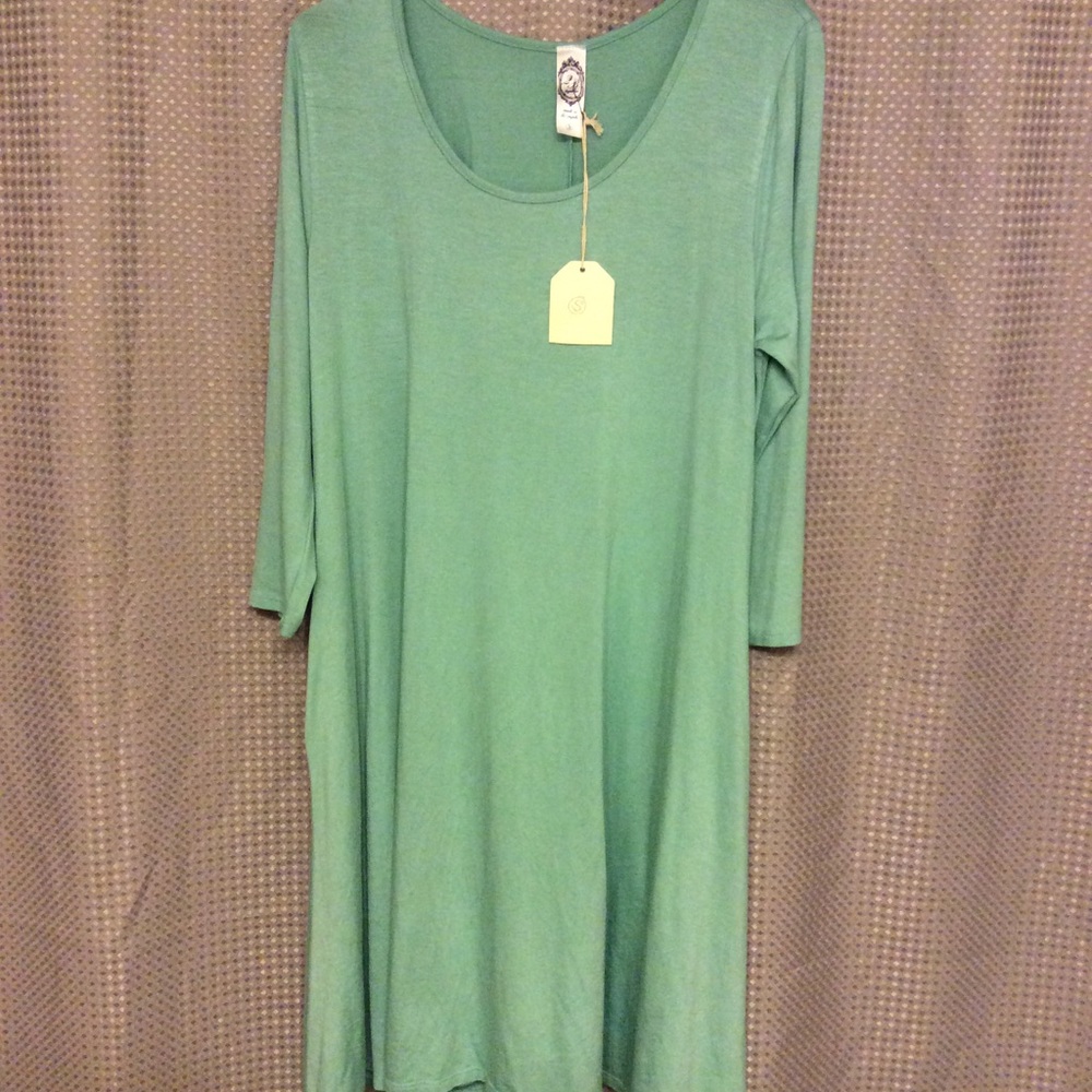 NWT Soft Green Swing Dress (Small)